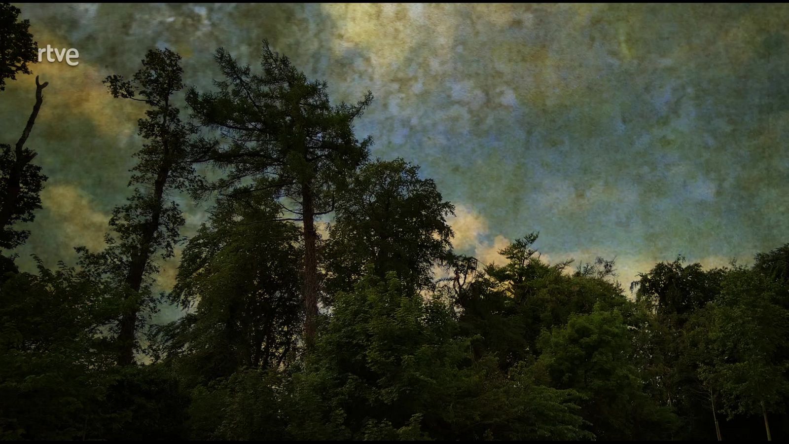 Boek Visual: Xavi Millán | Ver