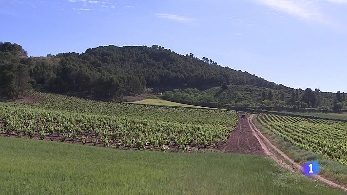 Informativo Telerioja - Informativo Telerioja  - 26-04-2024