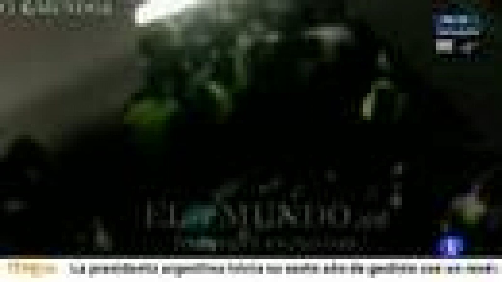 Imágenes de la avalancha del Madrid Arena