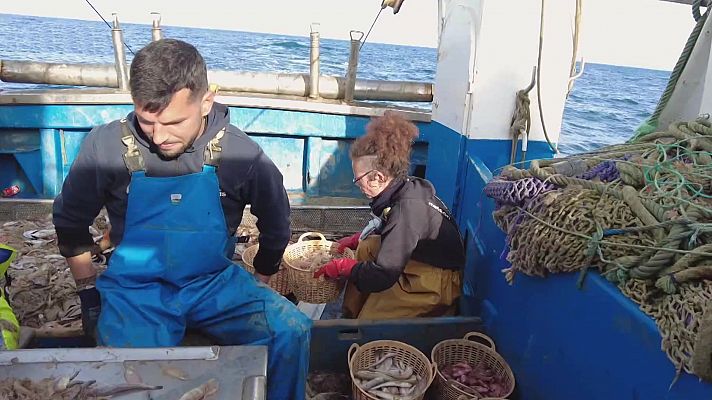 El escarabajo verde - Los ojos del mar