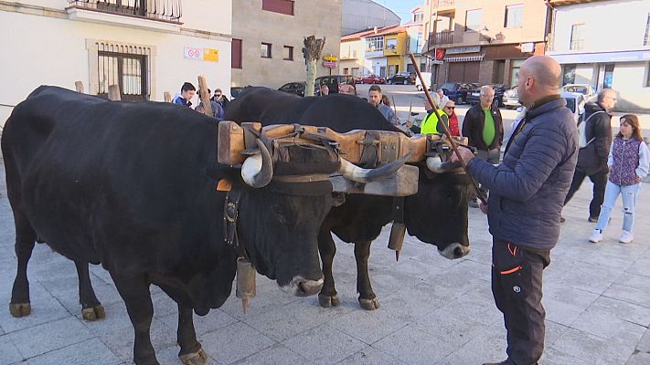 Agrosfera - Agrosfera - 27/04/24