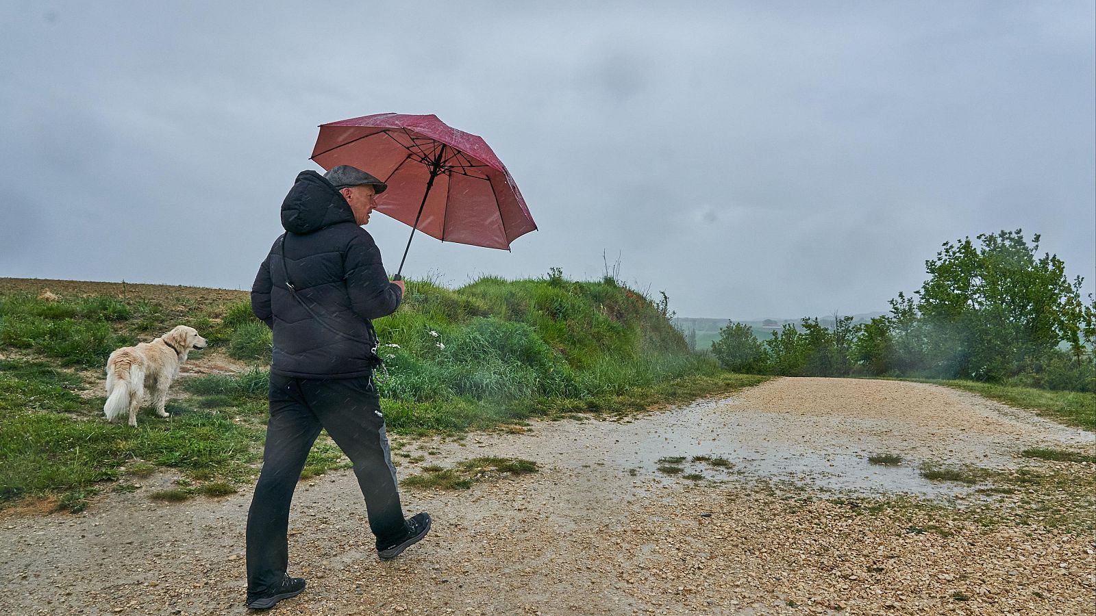 Un temporal de frío, lluvia y nieve llega a España en plena primavera | Ver