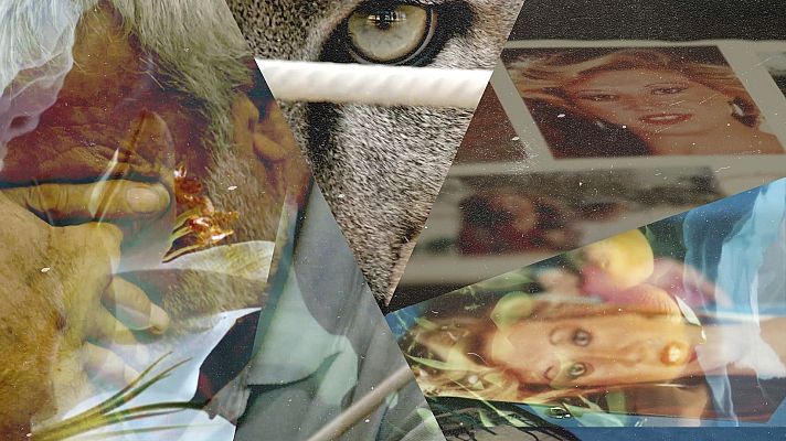 Lucía en la telaraña - Proteger a los testigos