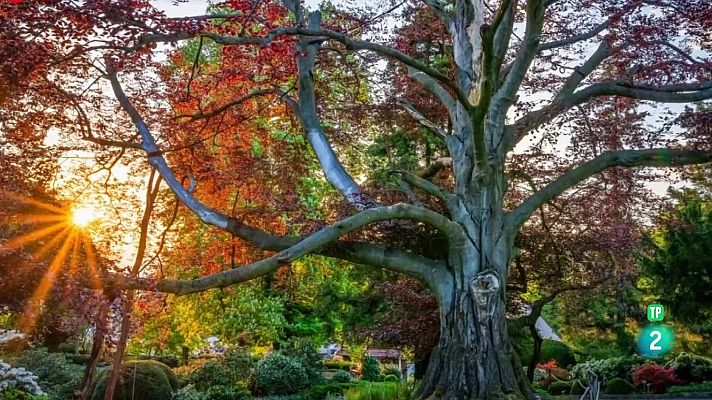 La aventura del Saber - Agenda natural