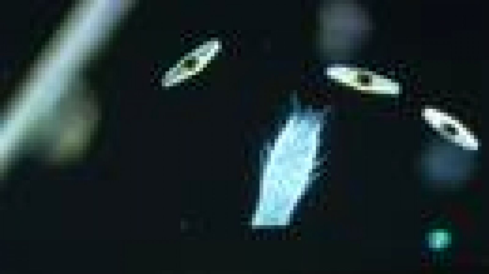 La Aventura del Saber. Exposición "Microvida"