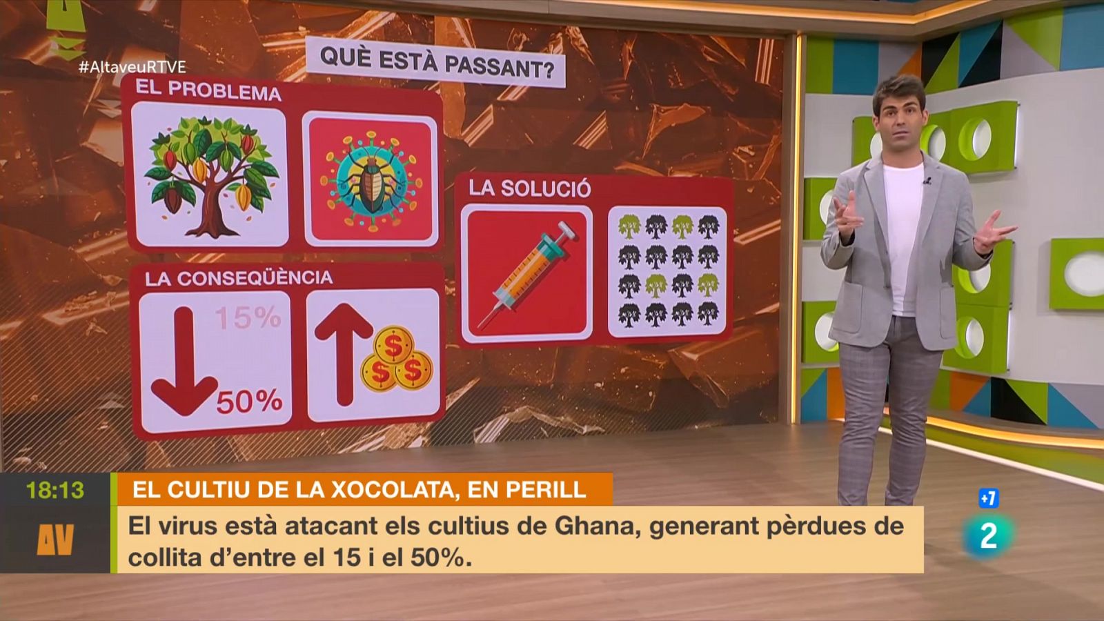 L'altaveu - El cultiu de la xocolata, en perill