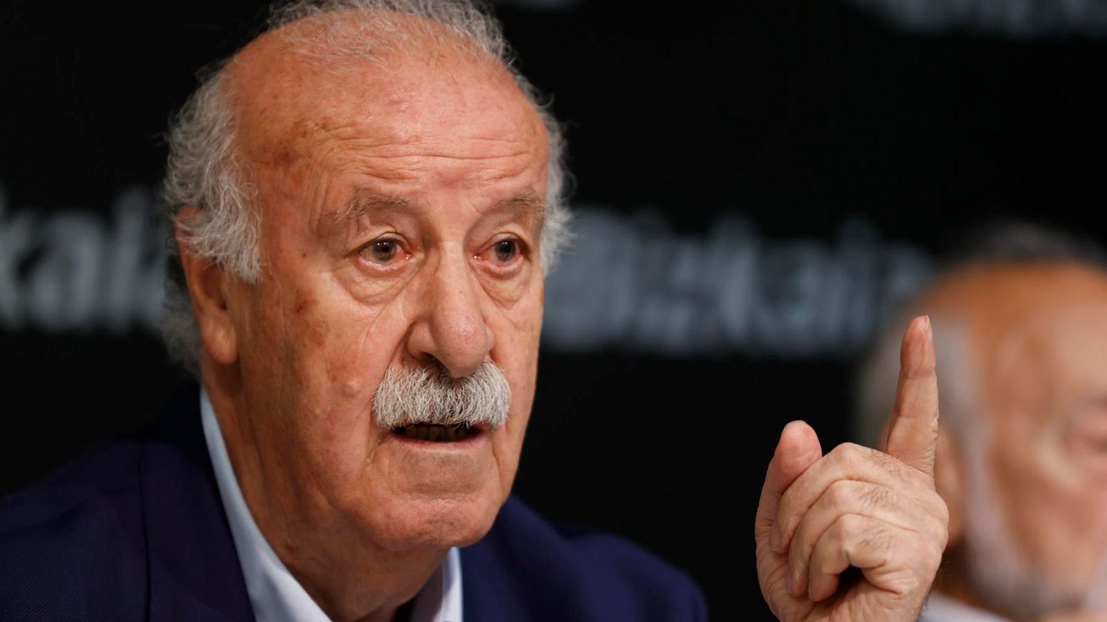 Vicente del Bosque pilotará la transición en la RFEF