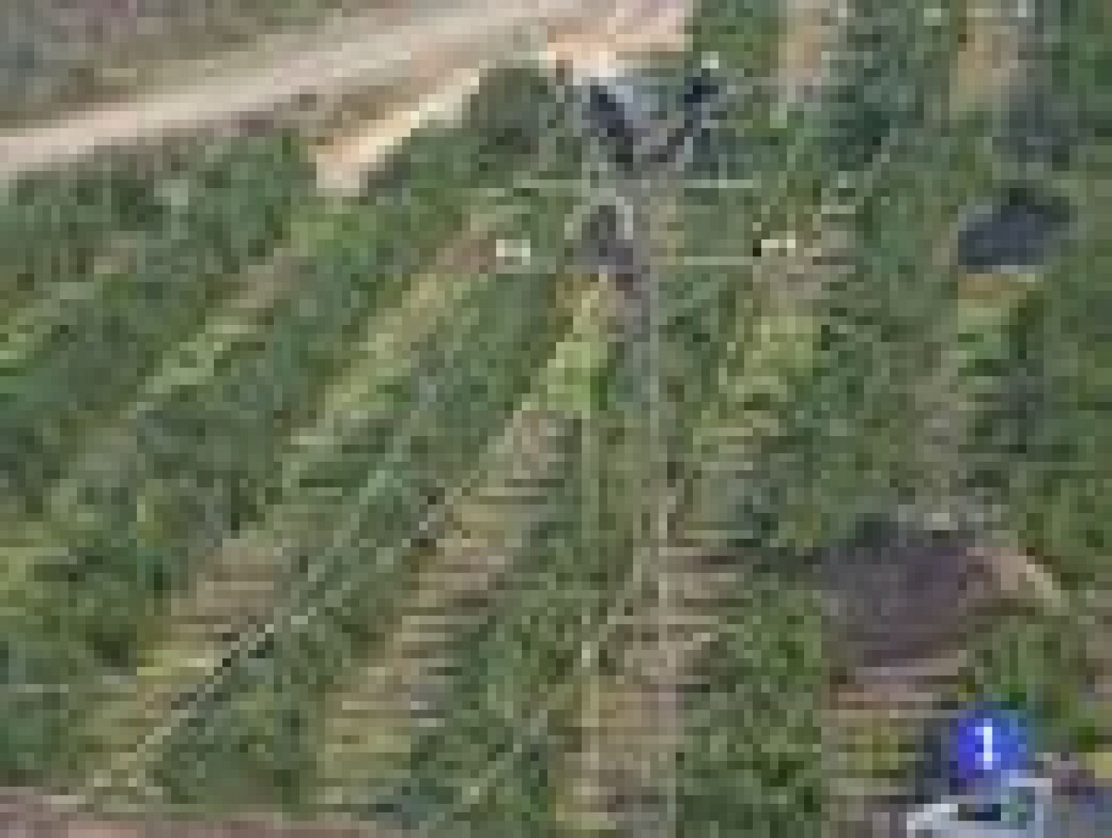 Noticias Murcia 2.(11/12/2012).