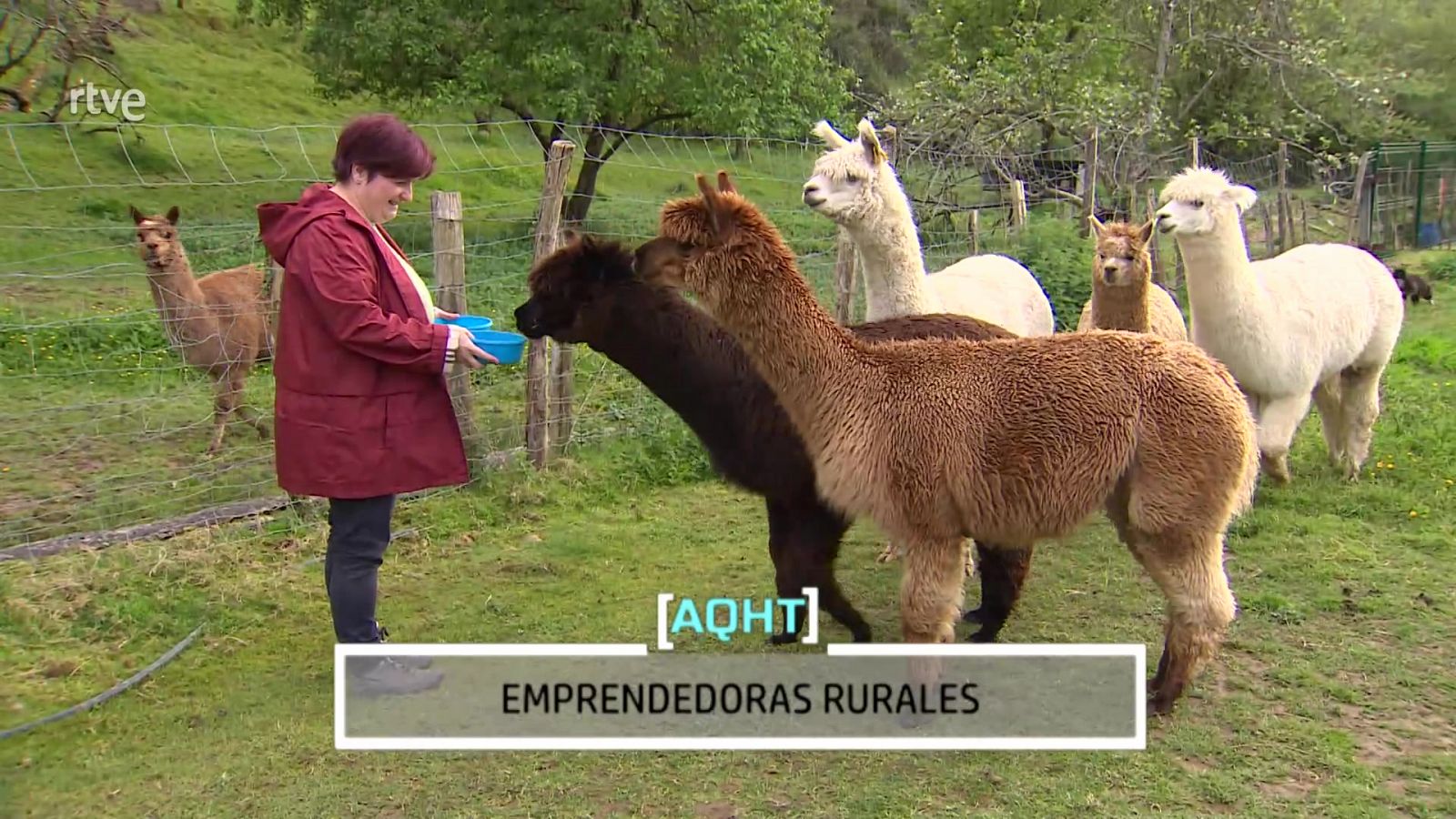 Emprendedoras rurales - Aquí hay trabajo | Ver