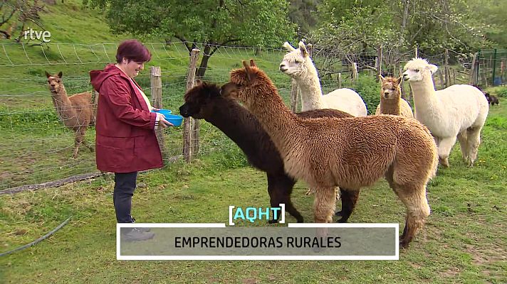 Aquí hay trabajo - Emprendedoras rurales
