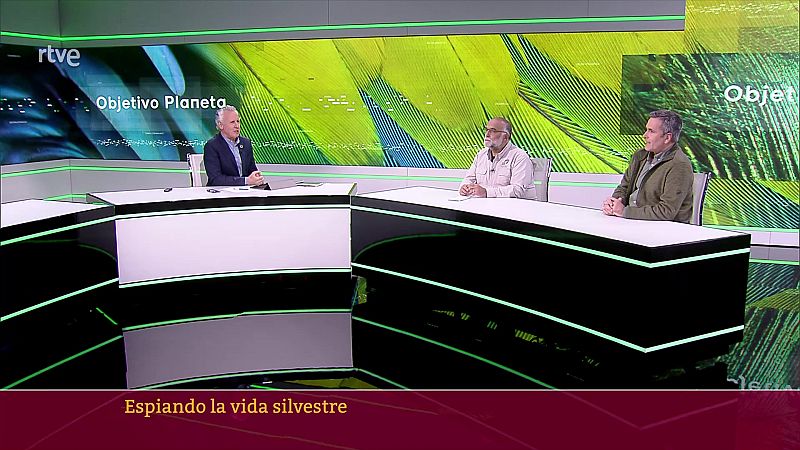 Objetivo Planeta - 02/05/24 - ver ahora