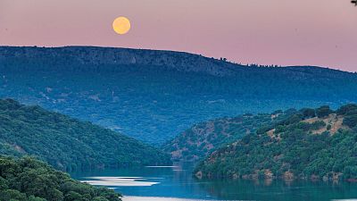 Parque Nacional de Monfrag�e