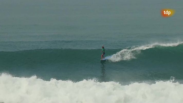 Surfing.es - T7 - Programa 14