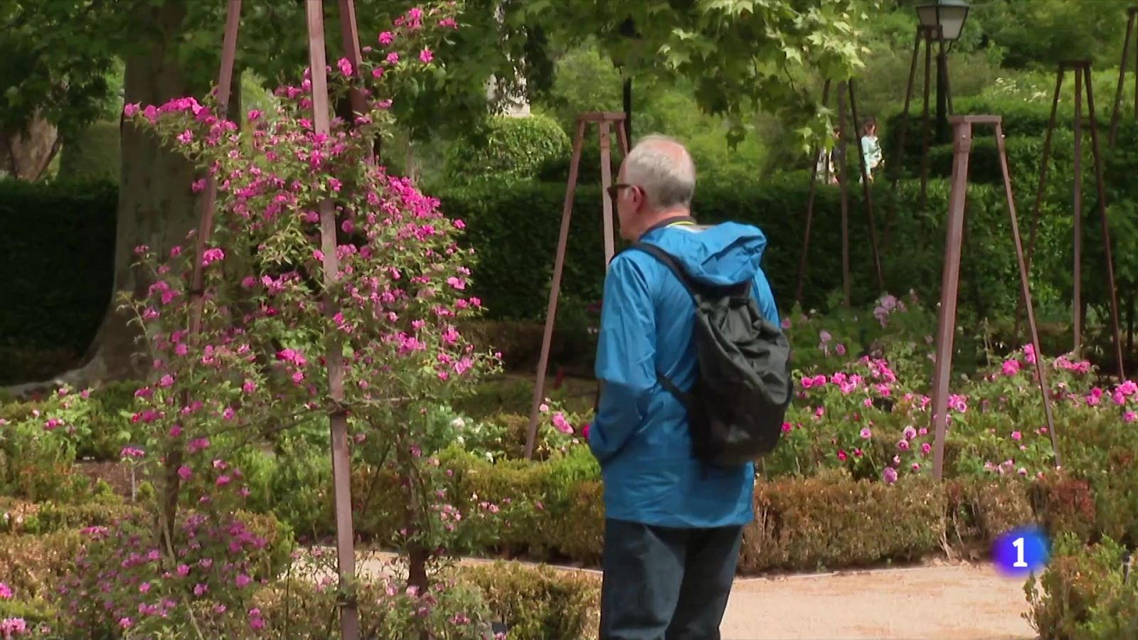 Polinización y cambio climático | Ver