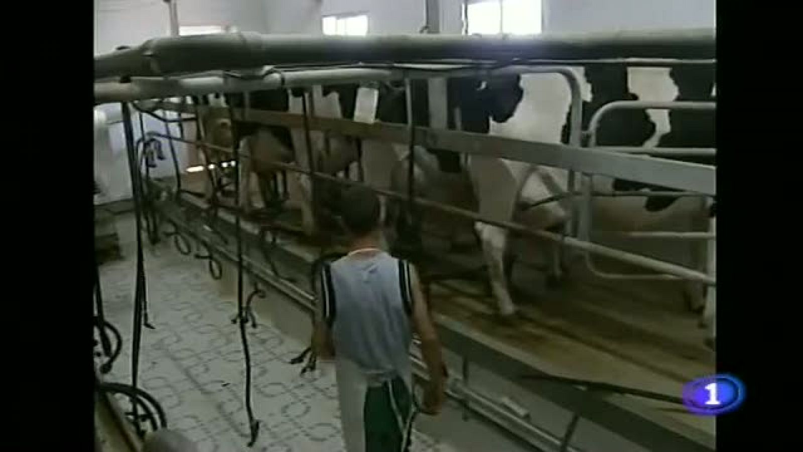 Noticias Andalucìa - 10/12/2012 | Ver