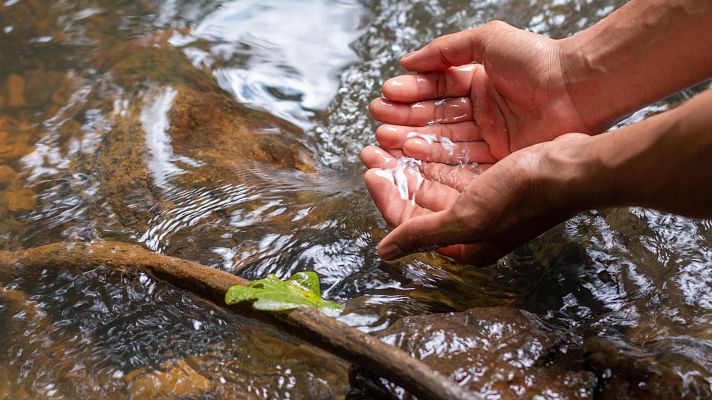Telediario Fin de Semana - El Tins, el primer río de España con derechos