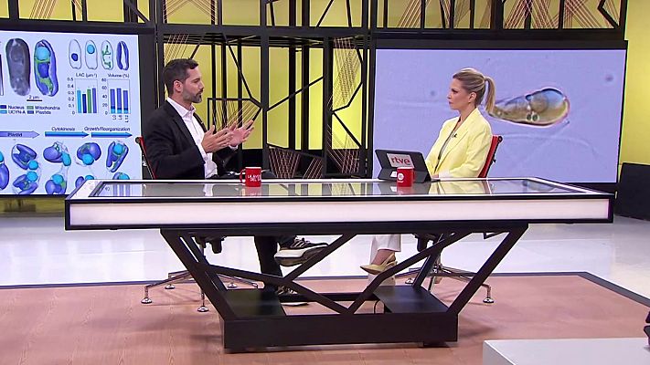 La aventura del Saber - La aventura del saber - 06/05/24