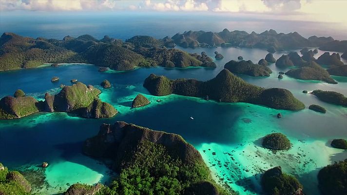 Som Documentals - Un any salvatge a la Terra: Gener i febrer