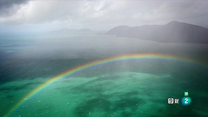 Som Documentals - Un any salvatge a la Terra: Març i abril, temps de renovació
