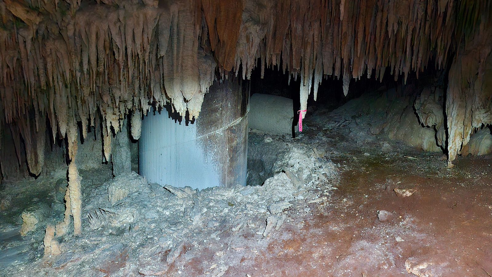 El Tren Maya pone en peligro las selvas y cavernas de México | Ver