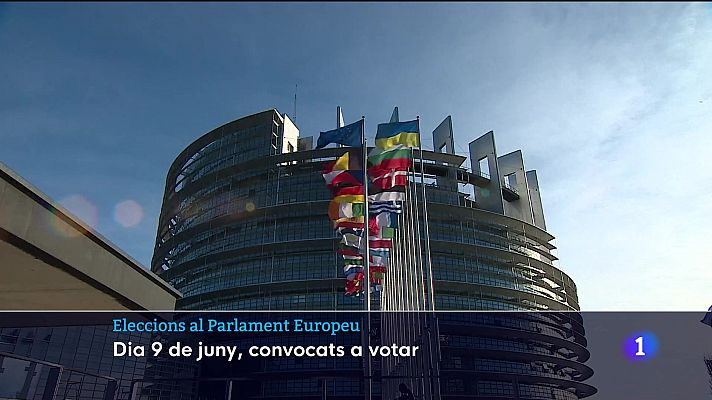 Eleccions europees