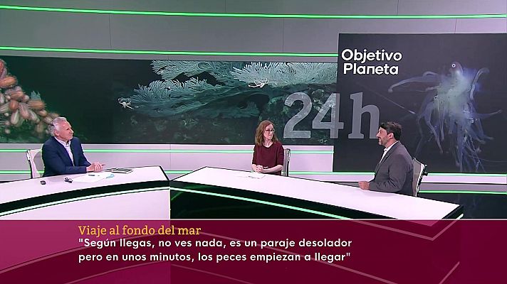 Objetivo Planeta - Viaje al fondo del mar