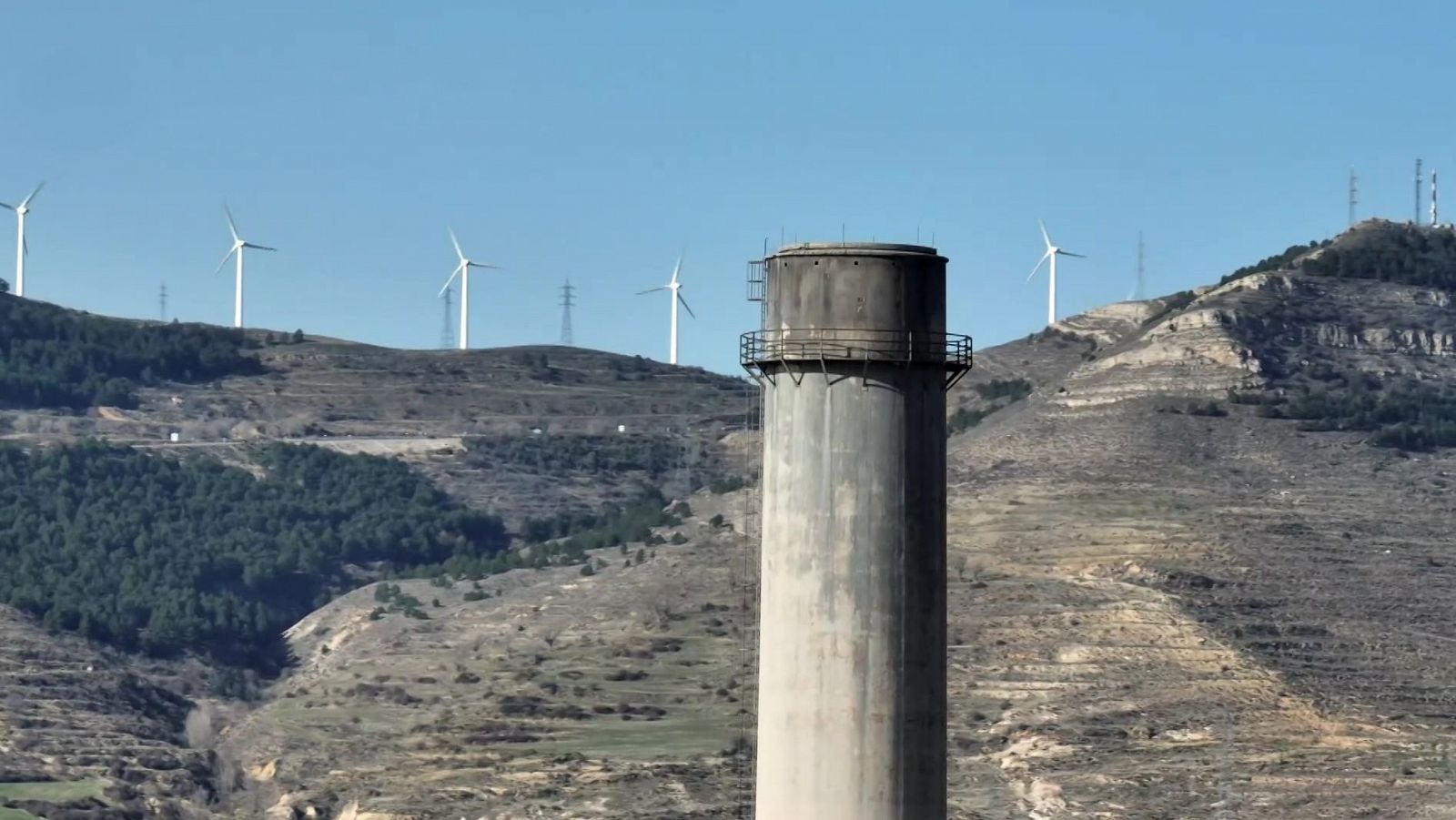 El escarabajo verde - Energívoros