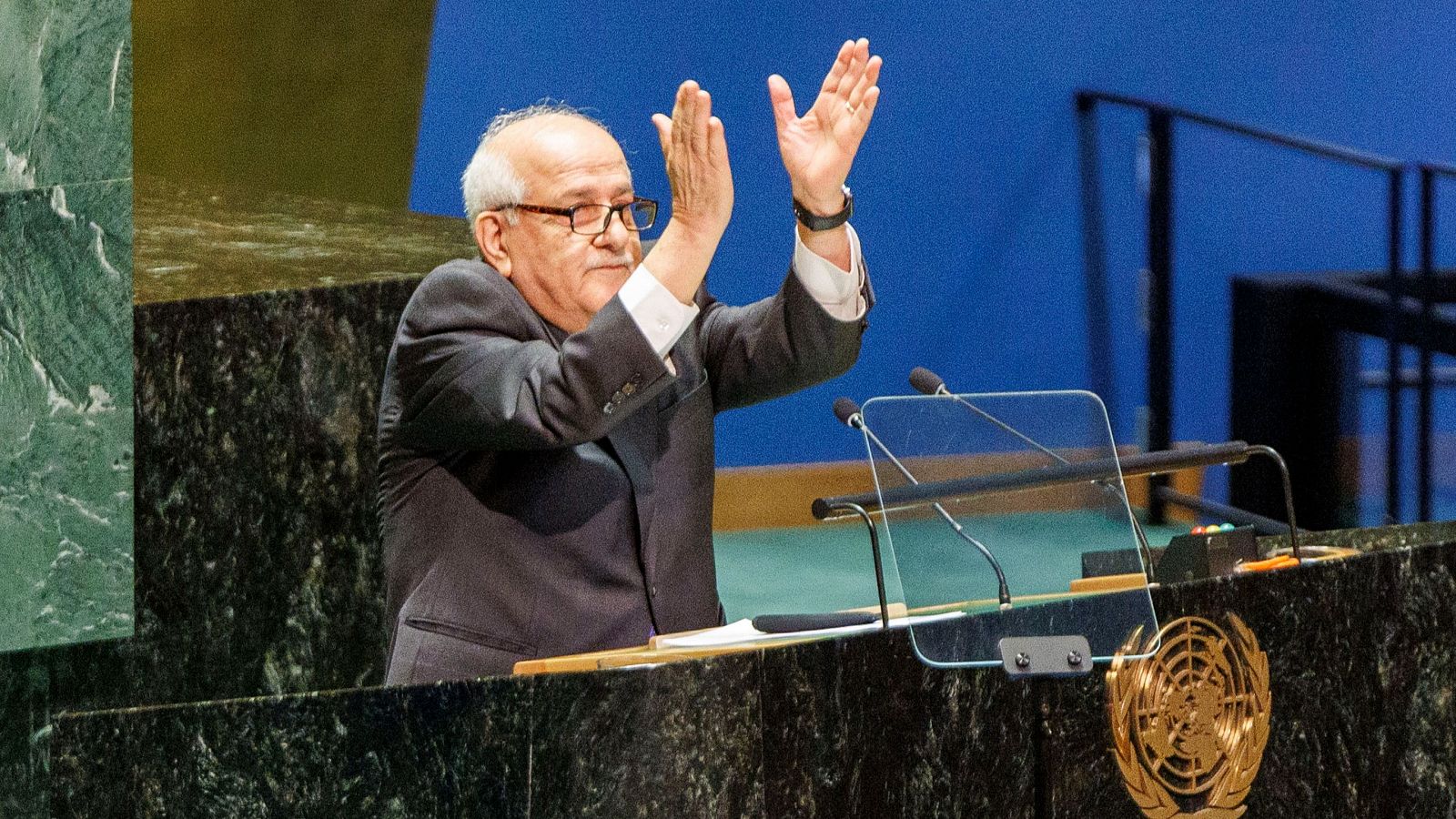 El estatus de Palestina en la ONU | Ver
