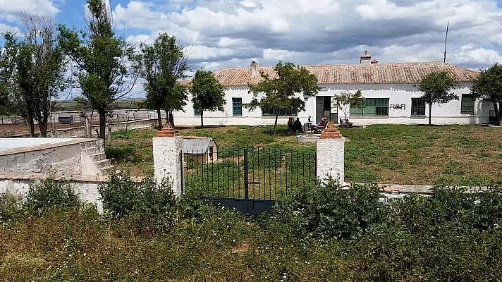 Tendido cero - Tendido Cero - 11/05/24