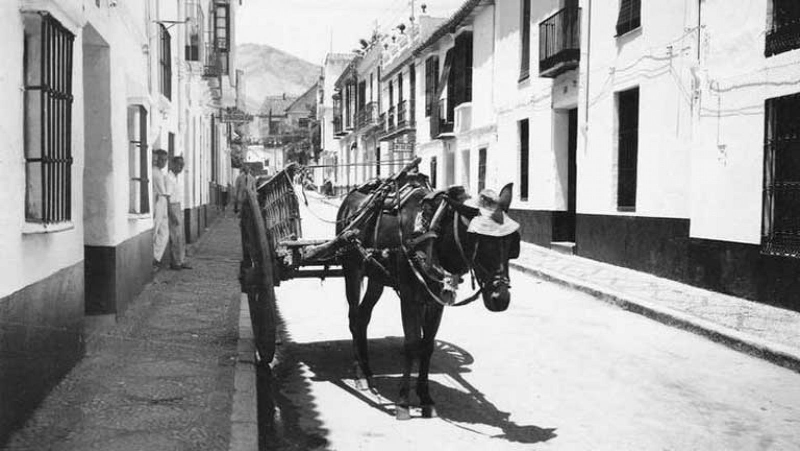 Premio Andalucía de Periodismo a Crónicas | Ver