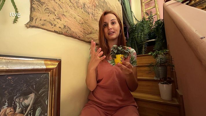 Va de verd - Les plantes baby