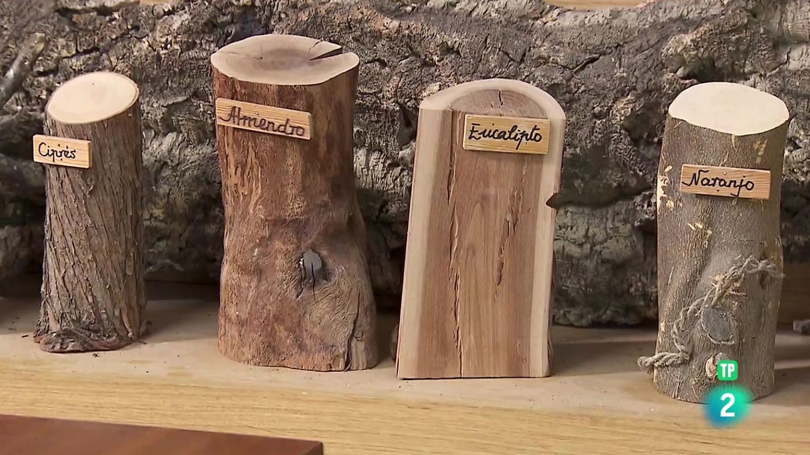 Torrejón forma a los carpinteros del siglo XXI | Ver