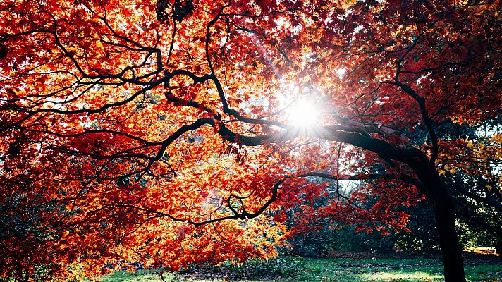 Un año salvaje en la Tierra - Septiembre y octubre. Tiempo de activación