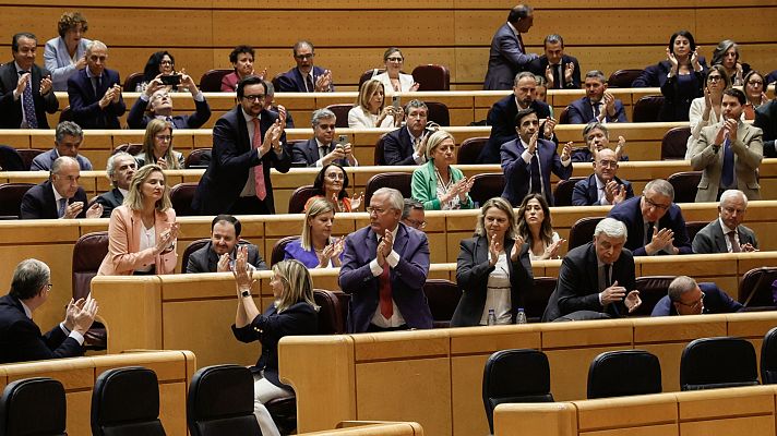 Informativo 24h - Informativo 24 horas - 20h - 14/05/24