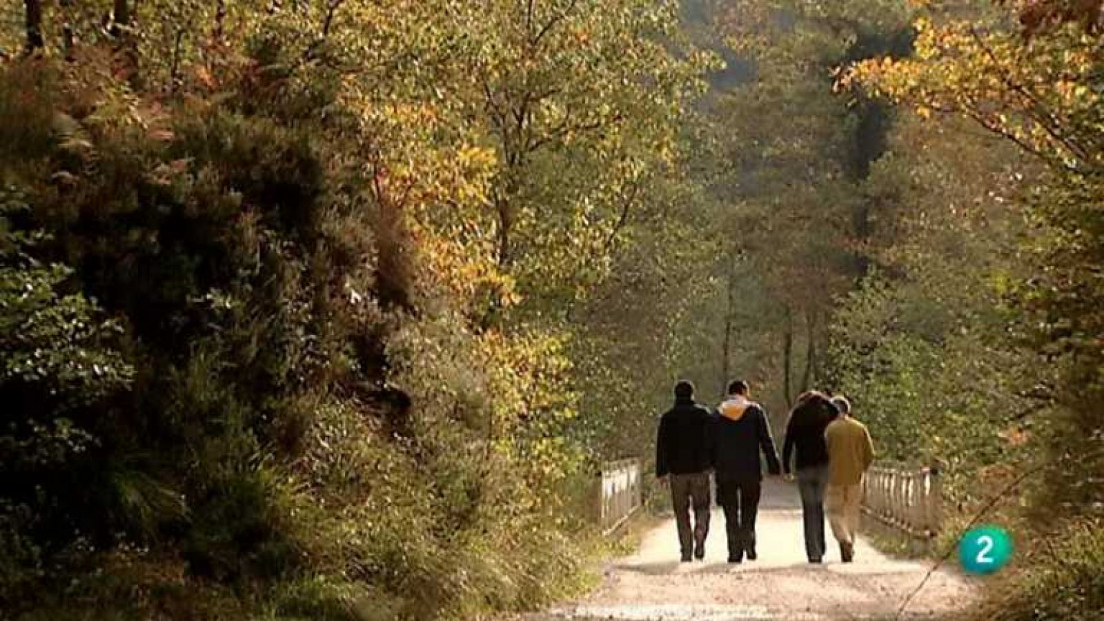 Biodiario - 12/12/12 - ver ahora