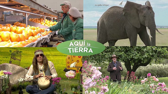 Aquí la Tierra - Aquí la Tierra - 14/05/24