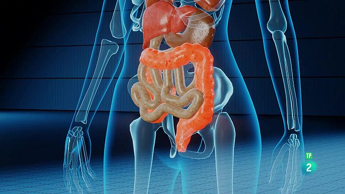 La aventura del Saber - Universo Sostenible. La microbiota, el segundo cerebro