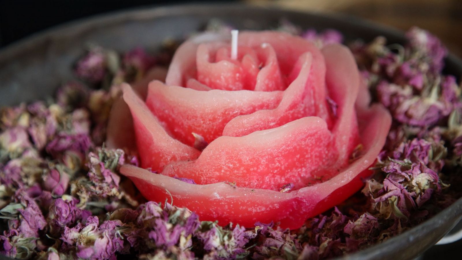 Sin equipaje - Caballos de Chipre, artistas de rosas, jardines de cítricos - ver ahora