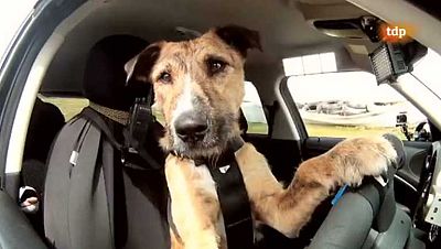 Conexión Motor - 12/12/12