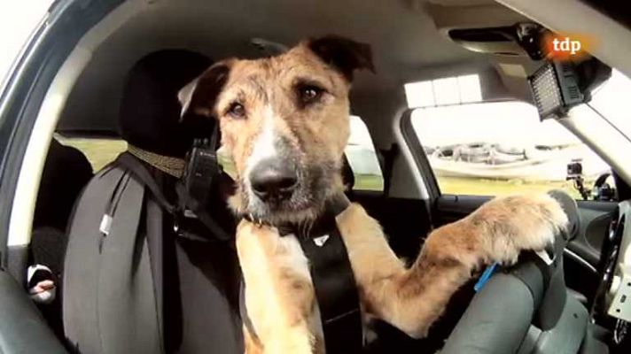 Conexión motor - Conexión Motor - 12/12/12