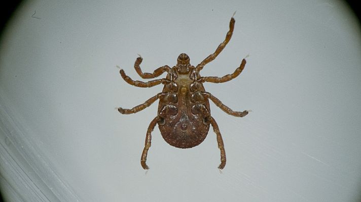 Documentos TV - La epidemia silenciosa