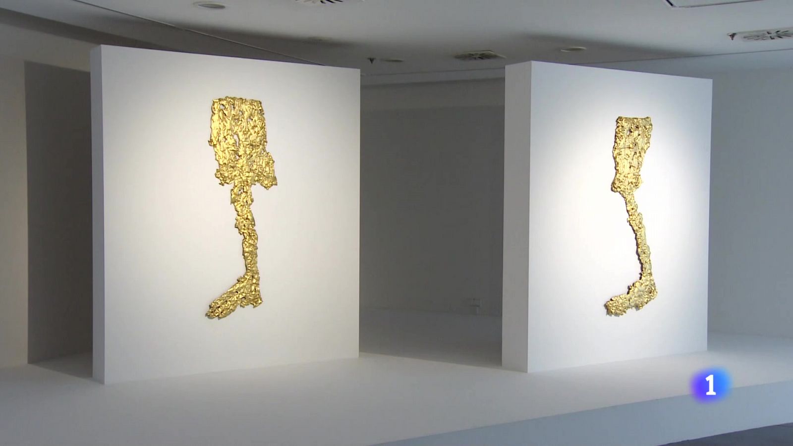 Informativo Telerioja - 16-05-2024 - ver ahora | Ver