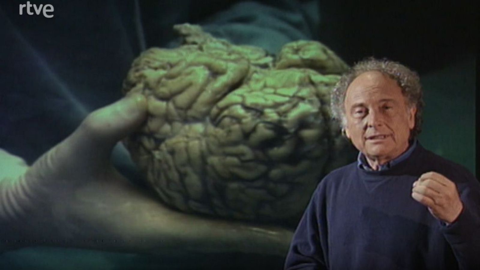 Redes - Cómo funciona la memoria y cómo se conserva (Parte 1)