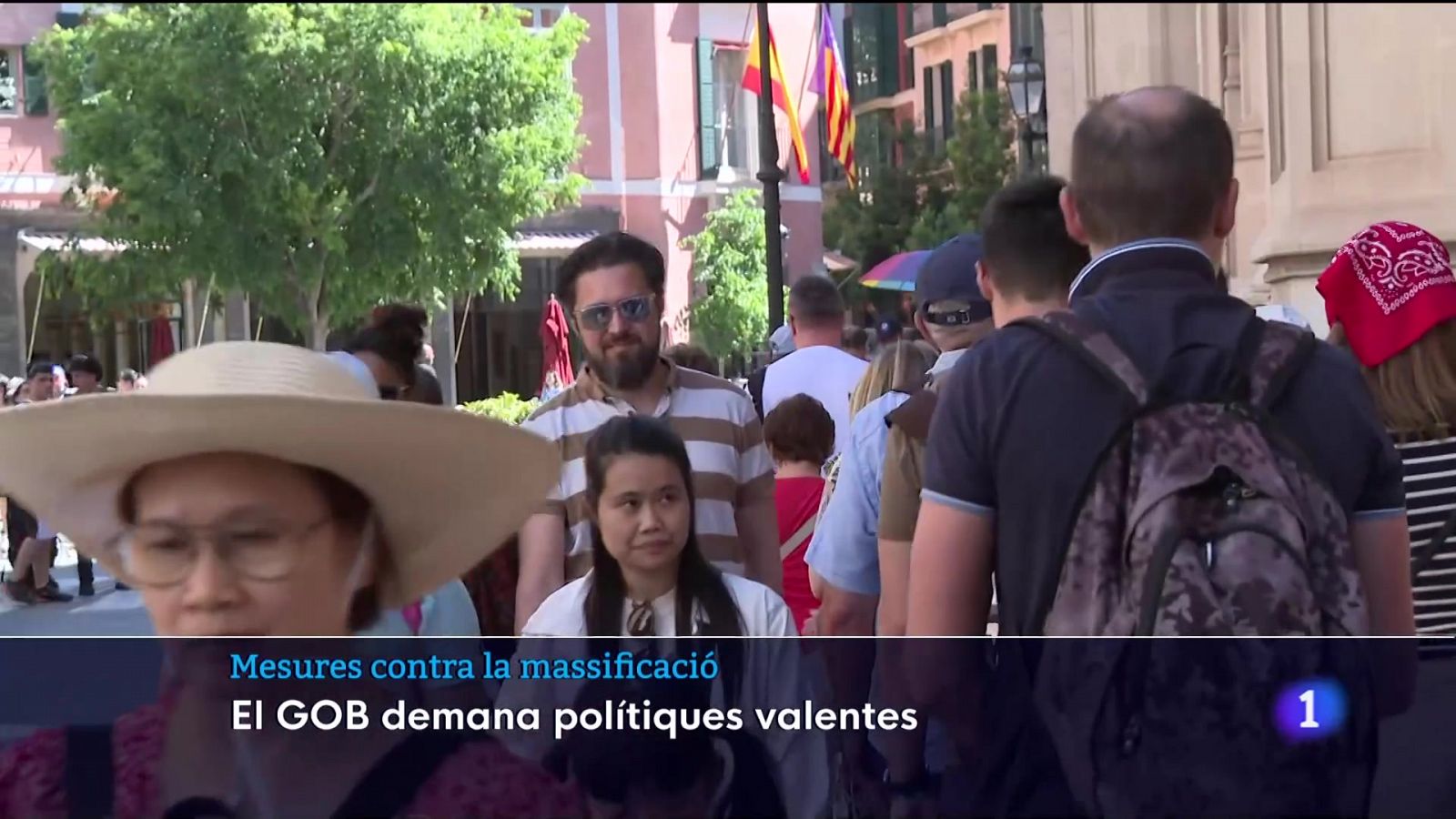 MASSIFICACIÓ TURÍSTICA | Ver