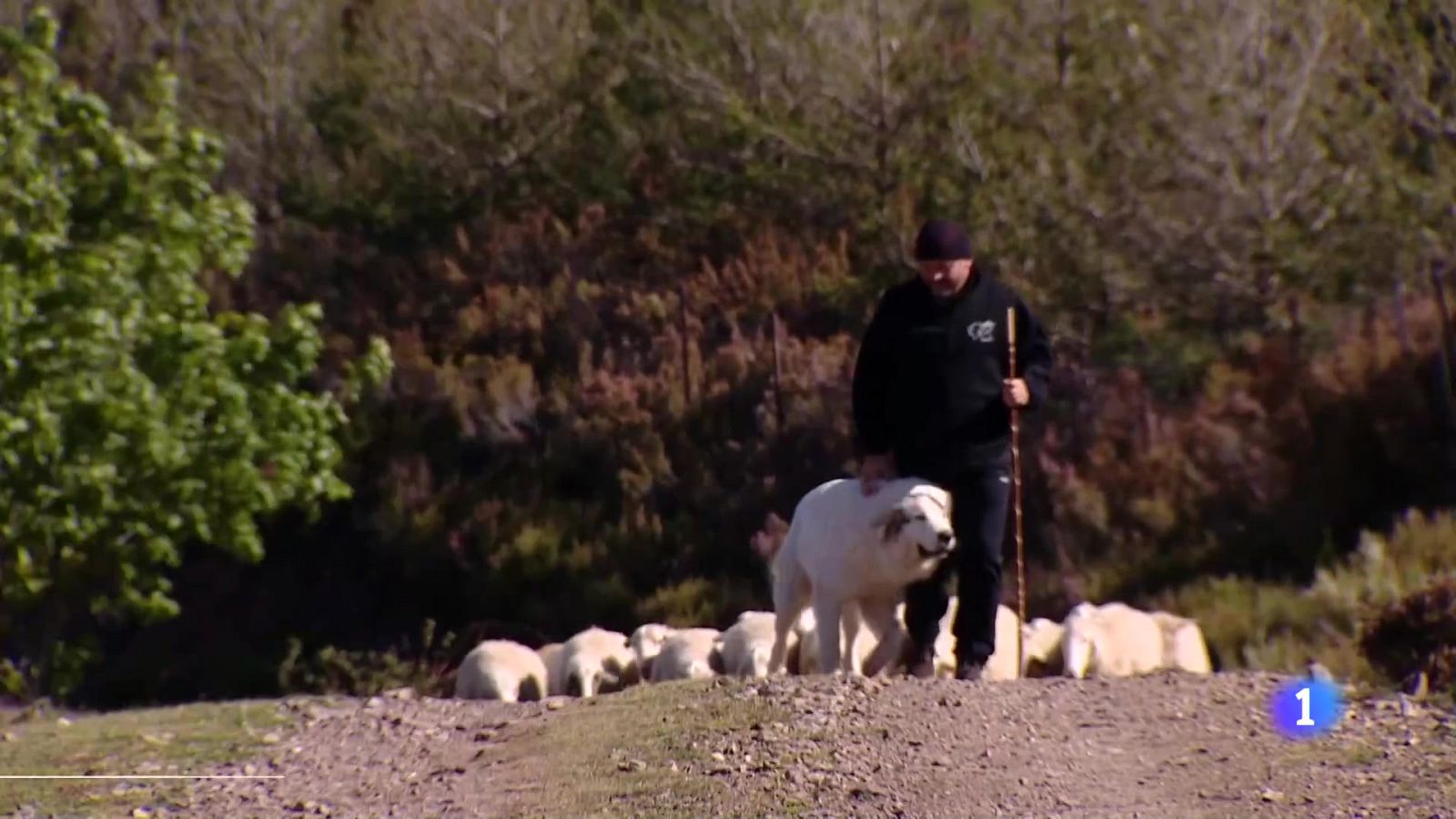 Informativo Telerioja - 17-05-2024 | Ver