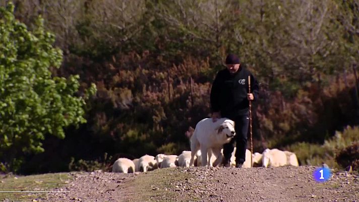 Informativo Telerioja - Informativo Telerioja - 17-05-2024