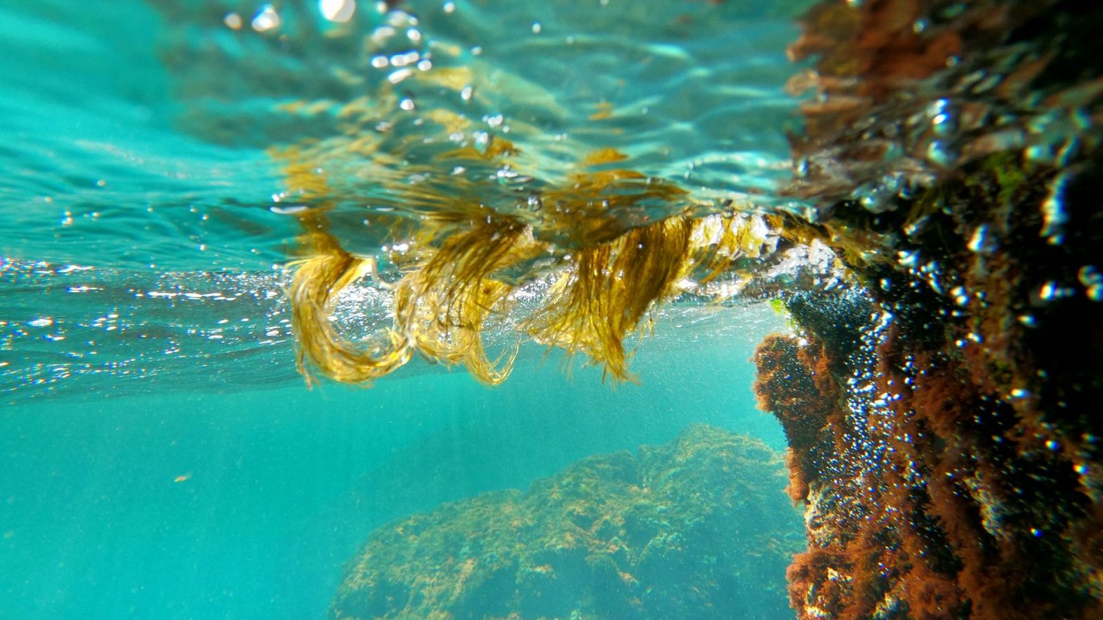 Sin equipaje - Chipre: Naturaleza, playas submarinas