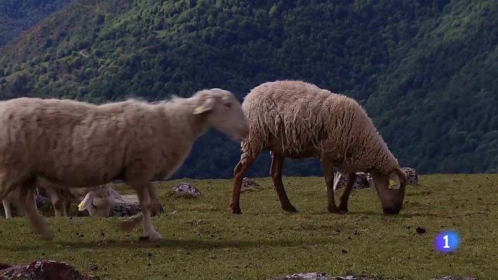 Informativo Telerioja - Informativo Telerioja 2 - 17-05-2024