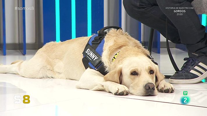 Somos 8 - Somos 8 - 17/05/2024