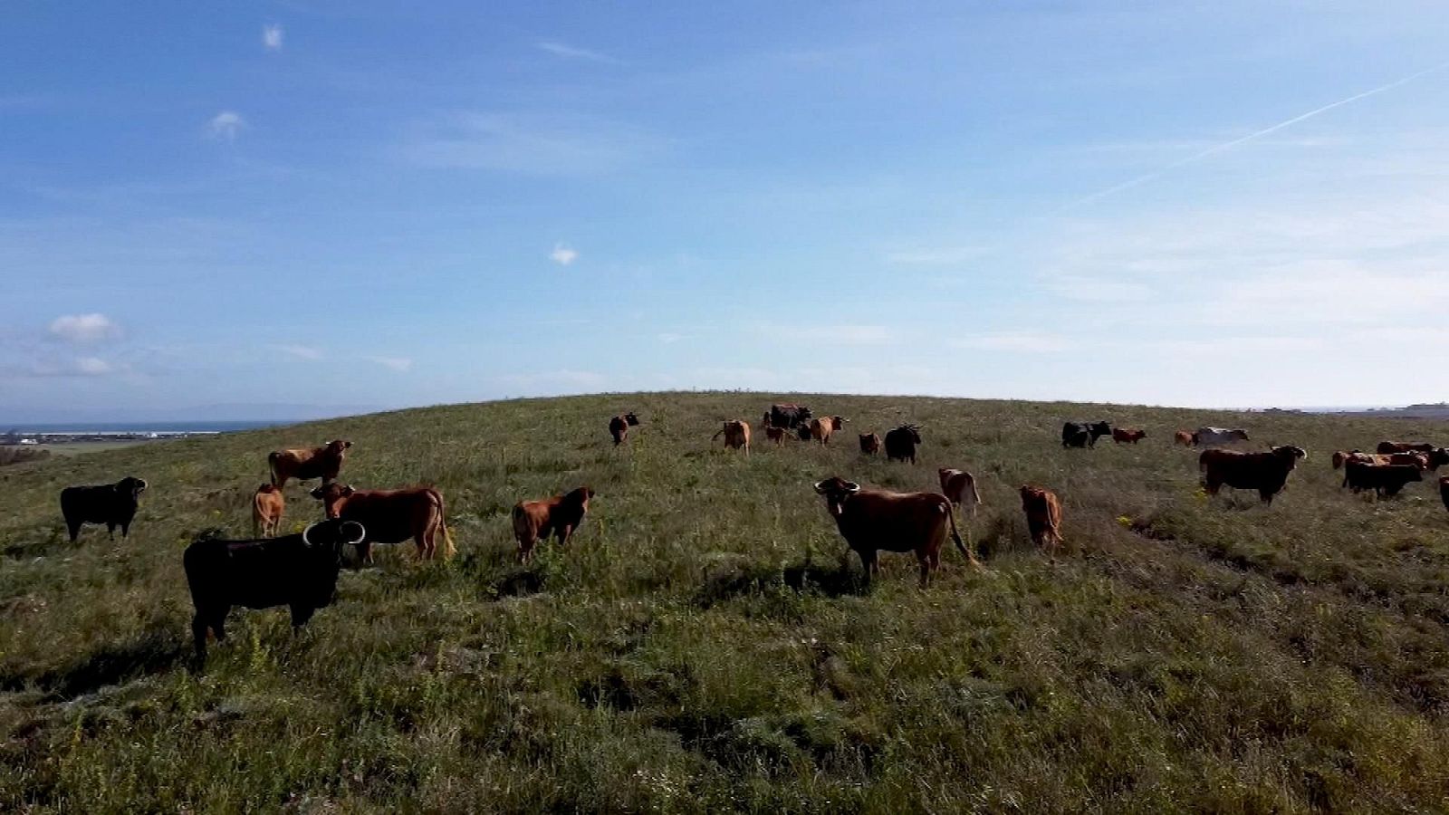 Tendido Cero - 18/05/24 - ver ahora